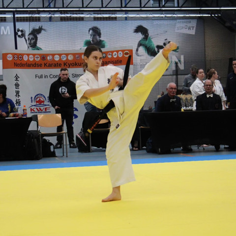 425271067 7315612195151678 7193762617877125207 n