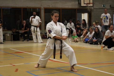 4e77efd3 ac7b 46e8 93cd 86def80ce483